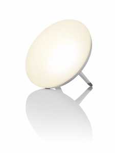 LT 500 | Daylight lamp 
